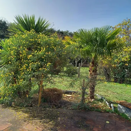 De Charme En Bois Avec Piscine Privee Calme Et Proche De Toulouse